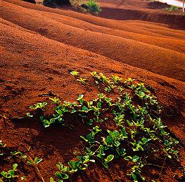 《猎魔人》作者新书《渡鸦十字路口》今年发行英文版